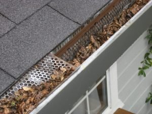 gutter mosquito control